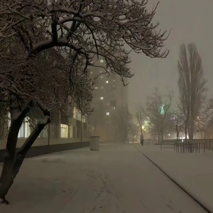 胖子男和胖熊Gay片
