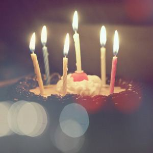 胖子男和胖熊Gay片
